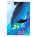 DVD|DOLPHIN Blue