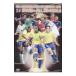 DVD|FIFA темно синий fete рацион z cup Германия 2005 Star z& все 56 гол z