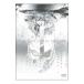 DVD|AWAKE TOUR 2005