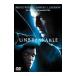 DVD| Anne Bray Cub ru