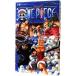 ONE PIECE 40| хвост рисовое поле . один .