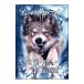 DVD| four * The *seik*ovu*livenji~re KONI ng* Night * Japan * Tour 2005