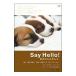 DVD|Say Hello! тот .. с наилучшими пожеланиями.