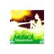  сборник |SURF&MUSIC~RAINBOW DRIVEINN recommended by Anne jela*maki* балка non 