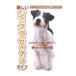  веселый Jack * russell * терьер жизнь |. документ . новый свет фирма 