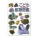 ko.. минерал иллюстрированная книга |. река size