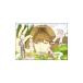 DVD|YUKI LIVE*5-star~~The gift will suddenly arrive~