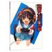  Suzumiya Haruhi. дверь . официальный вентилятор книжка 