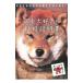  Япония собака нравится. инструкция по эксплуатации ( руководство пользователя )|jamainu