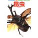  Shogakukan Inc.. иллюстрированная книга NEO карман насекомое | маленький .. один 