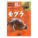 mogla| Inoue ..