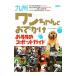  Kyushu one старательно .... рекомендация спот гид |e-*a-ru*ti акционерное общество 