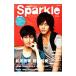 Sparkle VOL.10(2011)| носитель информации Boy 