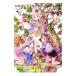 rorona&totoli&me Lulu. следы lie premium искусство книжка 