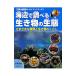  море сторона . проверить живое существо. сырой .| Kobayashi дешево .
