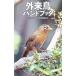  вне . птица рука книжка | река сверху мир человек 