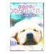 DVD| впечатление body .! Anne bi Lee babo-~.. это чудесный подарок ~