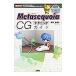Metasequoia CG technique гид |... прекрасный .