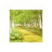image 13 treize emotional & relaxing