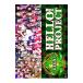 DVD|Hello!Project рождение 15 anniversary commemoration Live 2013 зима ~ viva!~
