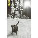  пейзаж. память. последовательность ......| Shiina Makoto 