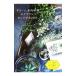  зеленый, суккулентное растение, воздушный растения организовать BOOK.|. земля конец .