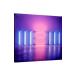  paul (pole) * McCartney |NEW