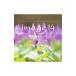  сборник |image 14 quatorze emotional&relaxing
