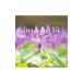  сборник |image 14 quatorze emotional&relaxing