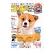  Corgi стиль Vol.32|.. выпускать 