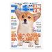  Corgi стиль Vol.37|.. выпускать 