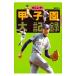 поразительный .! Koshien. большой регистрация |.. фирма 