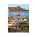 Hawaii Vacation Book|.. фирма 