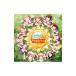 [ The Idol Master million Live!]THE IDOLM[@]STER LIVE THE[@]TER FORWARD 01 Sunshine Rhythm
