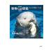  животное (mog) иллюстрированная книга | Matsubara стол 2 