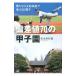 . разница цена 70. Koshien | сосна . много ..