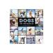 DOGS ON INSTAGRAM|@dogsofinstagram