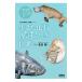  сырой .. окаменелость ..... иллюстрированная книга | север . самец один 