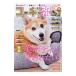  Corgi стиль Vol.40|.. выпускать 