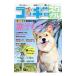  Corgi стиль Vol.41|.. выпускать 