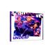 UNDEAD|[.. san .. Star z!] альбом серии UNDEAD первый раз ограниченный выпуск запись 