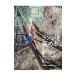 ROCK&SNOW 084 summer issue jun.2019| гора ... фирма 