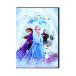 DVD／アナと雪の女王２