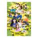 Blu-ray| Nogizaka строительные работы средний ~ Okinawa сборник ~