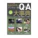 wa. задний .. цифровой однообъективный Q&A серьезный .|CAPA редактирование часть 