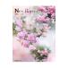 New Roses vol.31(2022)| производство . реклама фирма производство .me Dick s