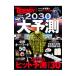2024-2030 большой предположение | Nikkei BP