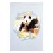  кроме того, .,.. Panda ..... вышел приключения world. . дом | приключения world 