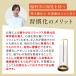 �~�j�������ĕt�� �I�ׂ�2�^�C�v �D�����ڂ�Ȃ� �������� �K���X �f�U�C�� ��� �Z�p�` �~�` �l�p�` �������� ��t�ȒP �������ȒP �p �V�R�؎g�p �N���~�؍� �֘A�摜5