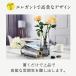 �k���� �K���X �ԕr �V���v�� ���_�� ��i ������� �O���[ �A���o�[ ���C���{�[ �N���A ��������O���[ ��������N���A ������ �G���K���g �֘A�摜3
